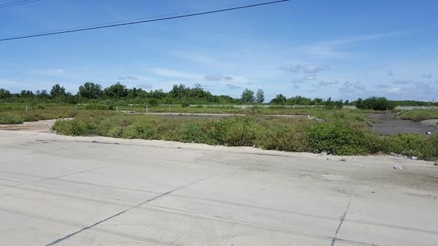 110453pic1-1