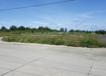 110453pic1