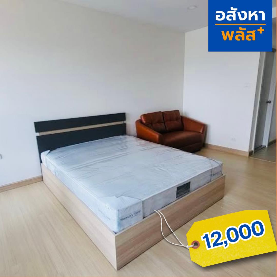 558832993_807236625599272_554154523183907964_n-1