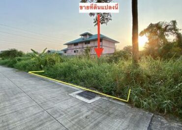 436239pic1